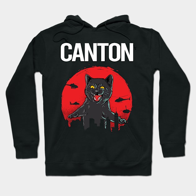 Funny Black Cat Canton Hoodie by flaskoverhand